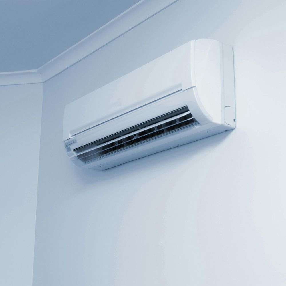 Primera imágen portada